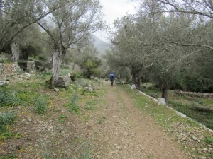 IMG_4564 (Medium)